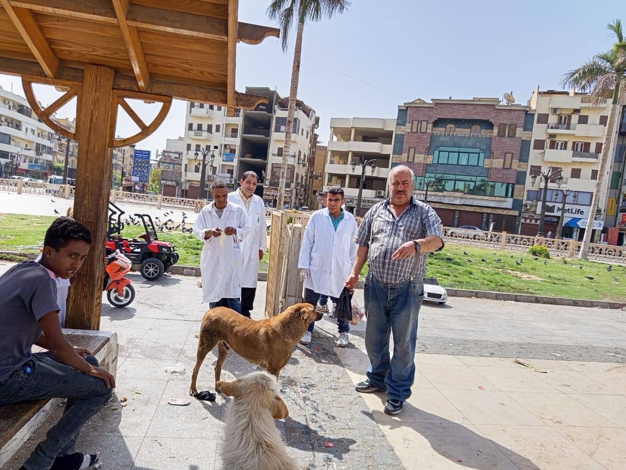 أعمال تحصين الكلاب فى قلب ساحة سيدى أبو الحجاج الأقصرى أعمال تحصين الكلاب فى قلب ساحة سيدى أبو الحجاج الأقصرى