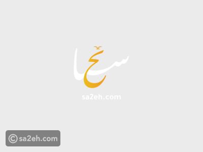 المطارات الذكية: هل ستغنيك الروبوتات عن مكاتب الجوازات؟