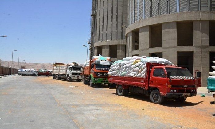 محافظ سوهاج: توريد 82 ألف طن قمح منذ بدء موسم التوريد