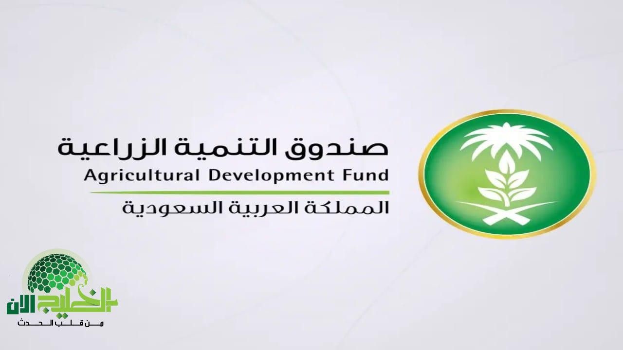 فرص توظيف جديدة في صندوق التنمية الزراعية .. وظائف متاحة لحملة البكالوريوس فأعلى في السعودية(1)