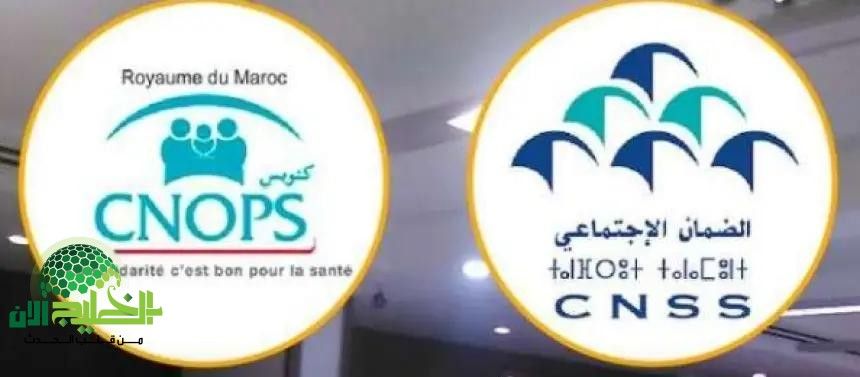 انطلق التسجيل في منصة كنوبس 2025 بالمغرب.. فرصة ذهبية لتعزيز مسارك المهني