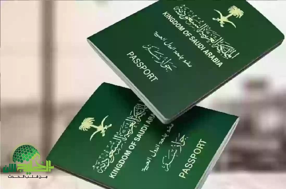 دليل شامل للاستعلام عن تأشيرة الزيارة العائلية للسعودية 2025
