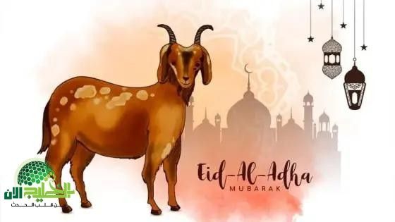 عيد الأضحى 2025.. كل ما تريد معرفته عن الموعد الفلكي وتفاصيل الاحتفال
