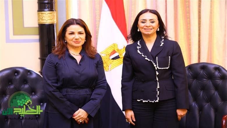 تعاون مصر ولبنان في الحماية الاجتماعية(1)