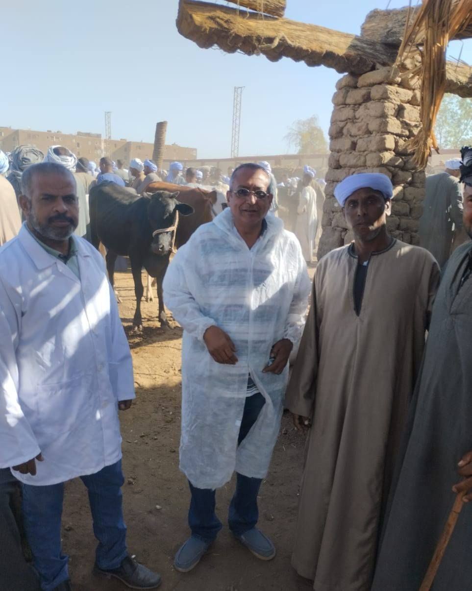 لجان بيطرية بأسواق الماشية الأسبوعية لتحصين الماشية قبل عيد الأضحى لجان بيطرية بأسواق الماشية الأسبوعية لتحصين الماشية قبل عيد الأضحى