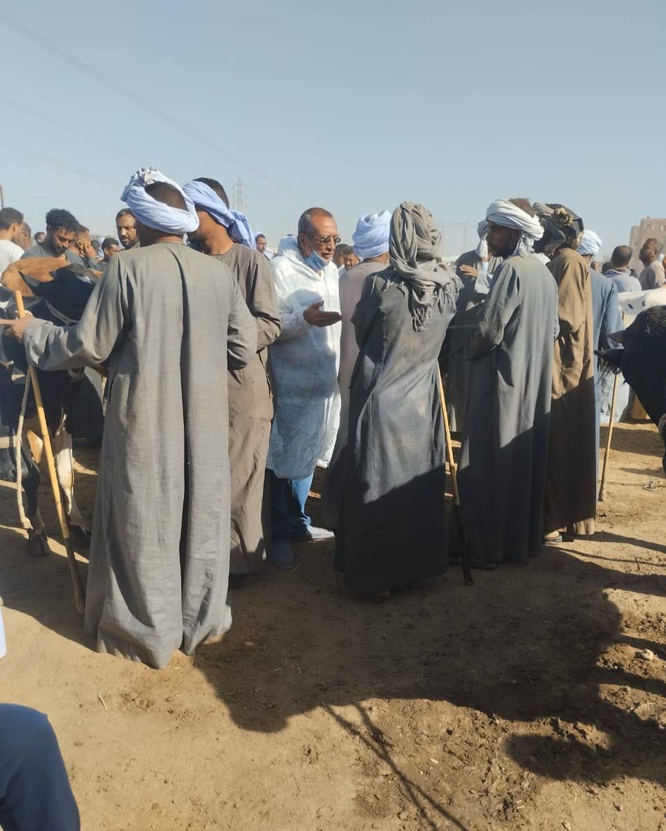 جانب من حملات التوعية البيطرية فى أسواق الماشية جانب من حملات التوعية البيطرية فى أسواق الماشية