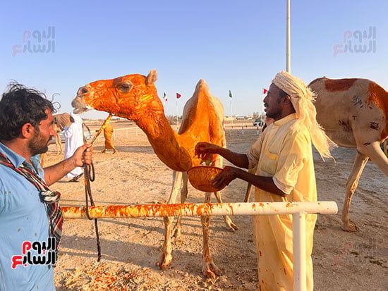 خلال-دهان-الزعفران خلال-دهان-الزعفران