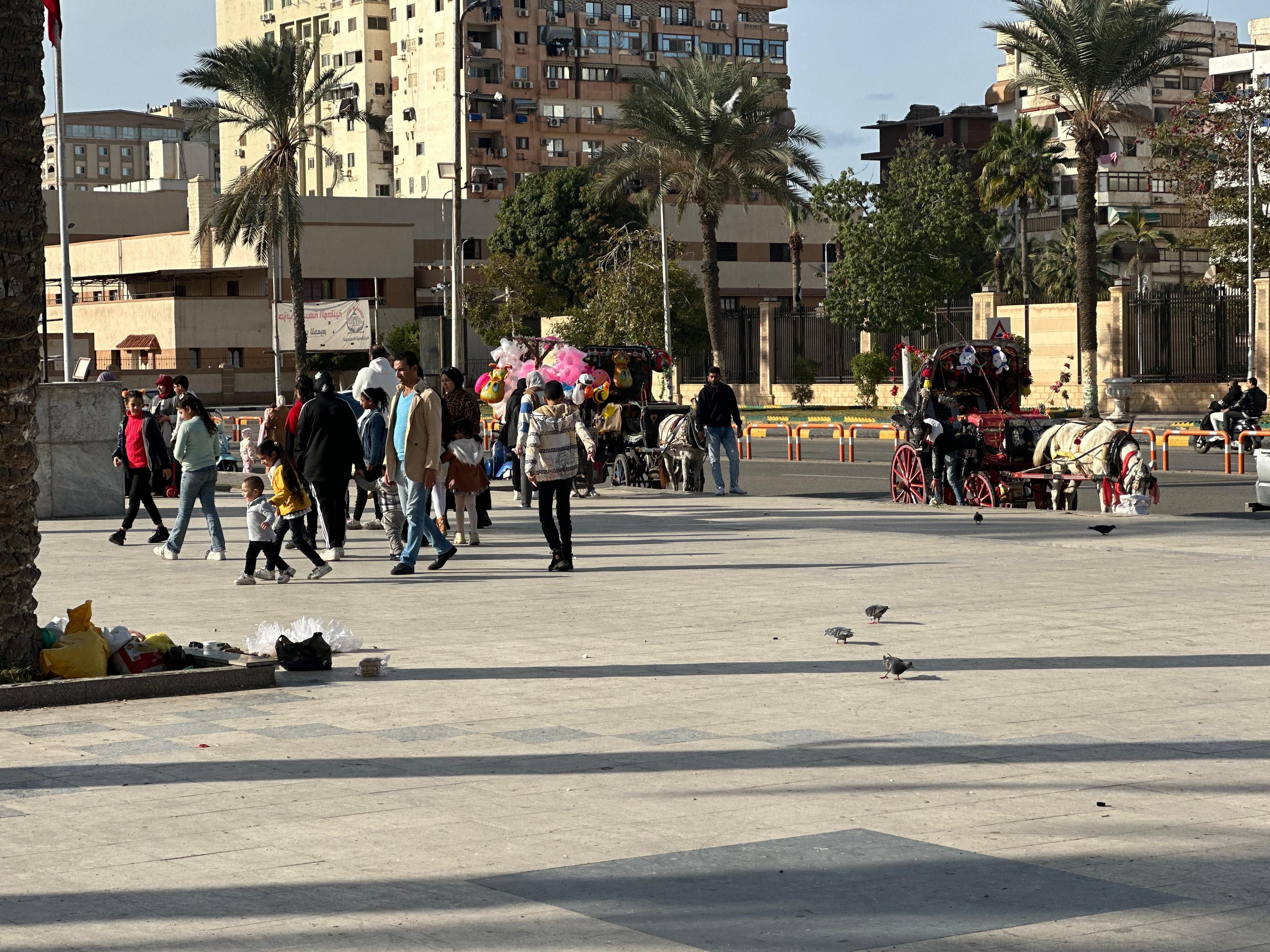 الاهالي في المسلة الاهالي في المسلة