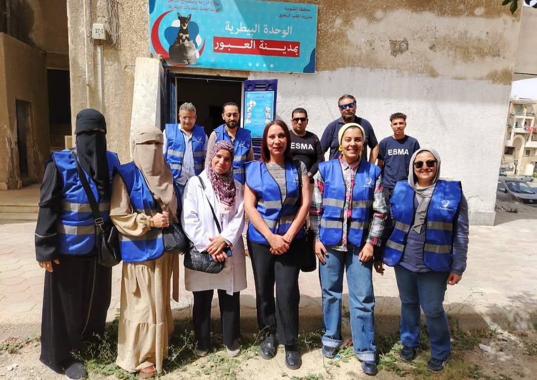 فرق تطعيم الكلاب الضالة بالعبور فرق تطعيم الكلاب الضالة بالعبور