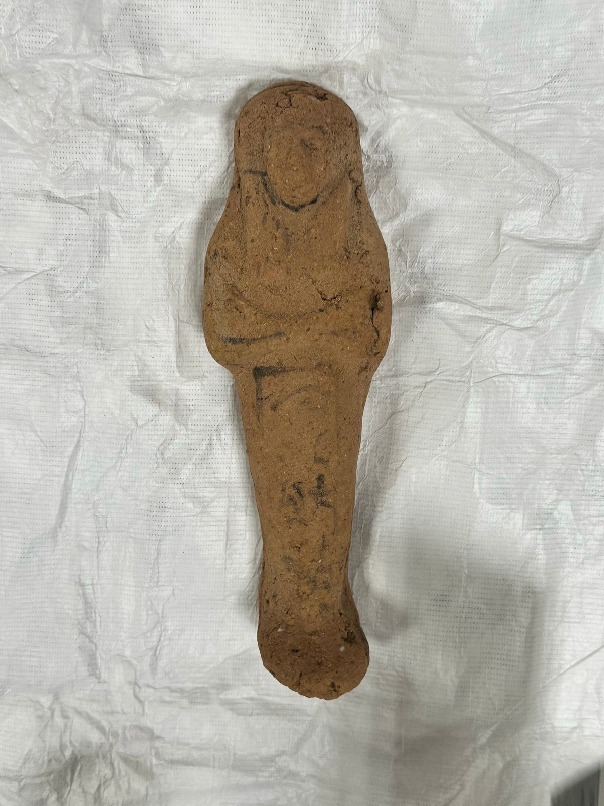 cbe73f7669.jpg