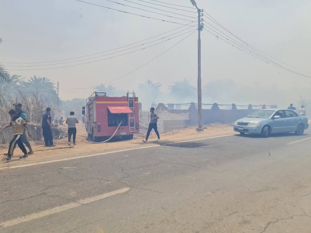 حريق بمزارع نخيل ومانجو بالقصر حريق بمزارع نخيل ومانجو بالقصر