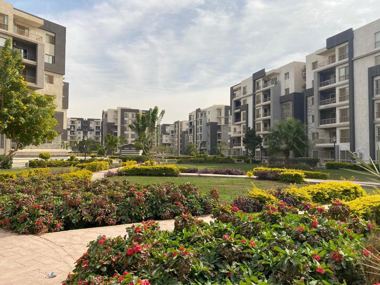 c7c0296440.jpg