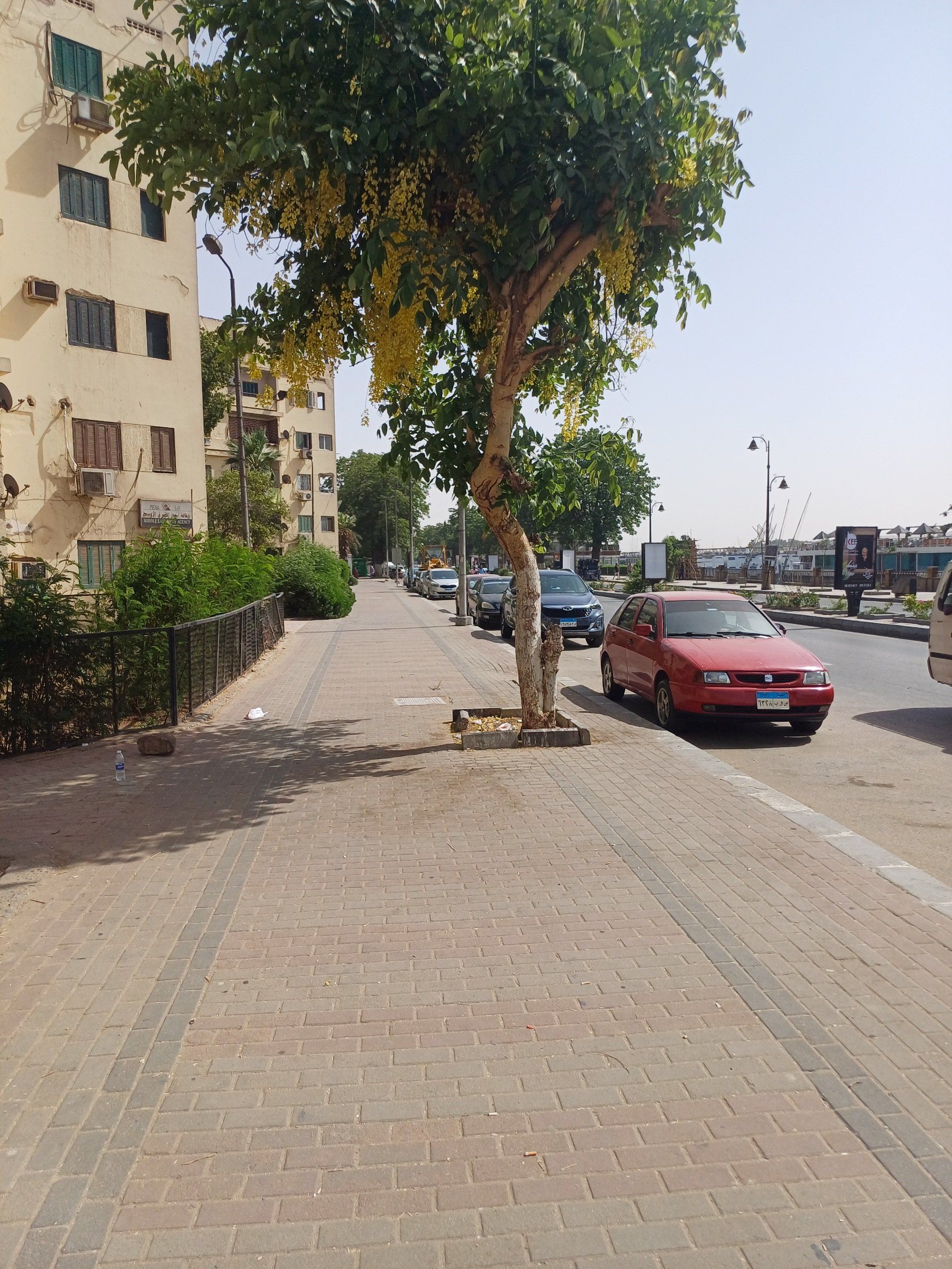 الشوارع خالية من المواطنين الشوارع خالية من المواطنين