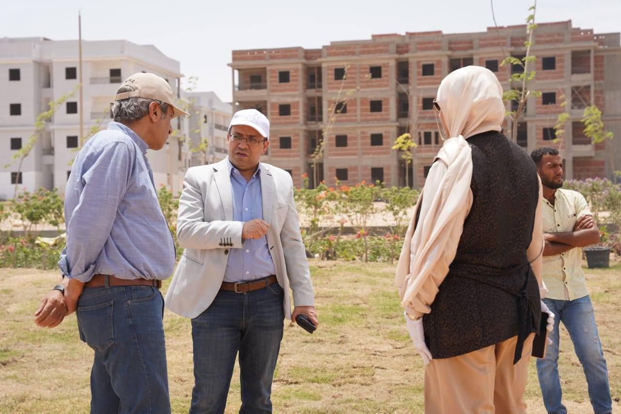 مدينة سوهاج الجديدة تشجير مدينة سوهاج الجديدة تشجير
