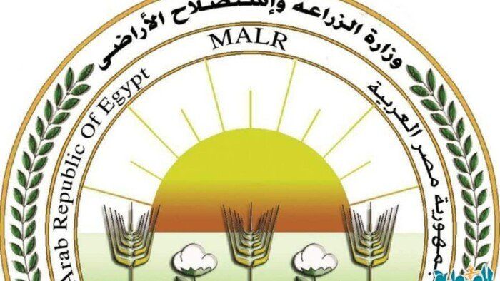 موسم الحج 2025.. انطلاق أولى أفواج بعثة الأطباء البيطريين للإشراف على الهدي والأضاحي