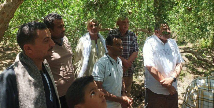 لقاءات دورية مع مزارعي الرمان بأسيوط لبحث التحديات ودعم الصناعة الزراعية