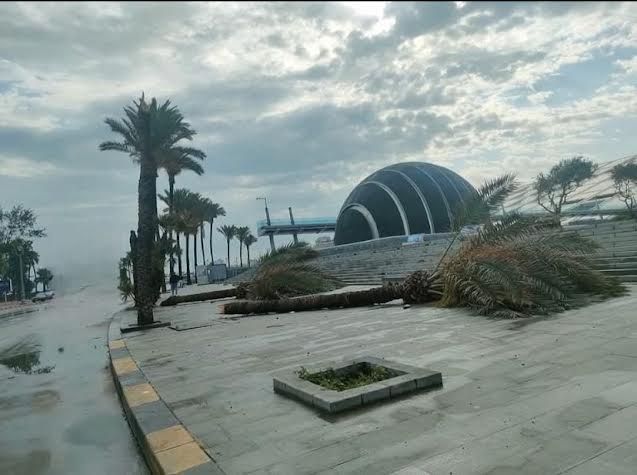 إعصار الاسكندرية إعصار الاسكندرية
