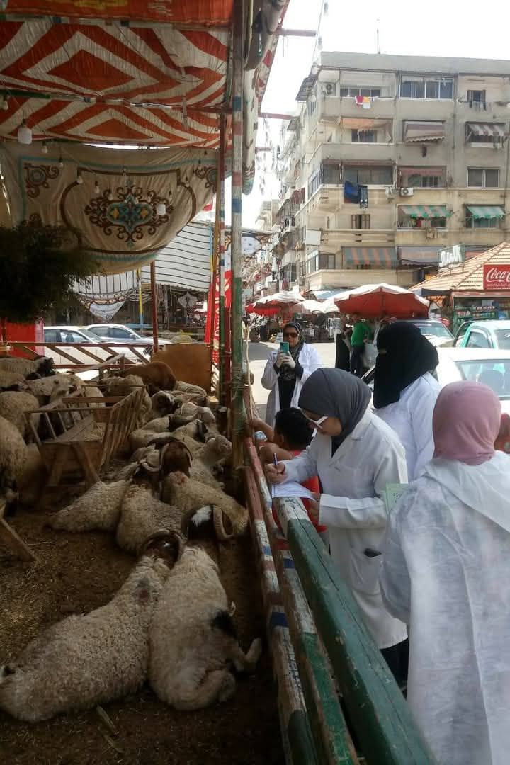 حملات تفتيشية حملات تفتيشية