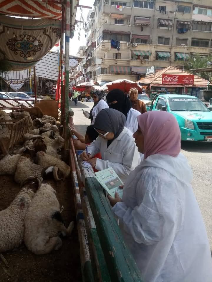 الحملة في بورسعيد الحملة في بورسعيد