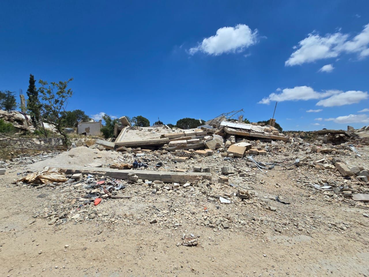 48dda51037.jpg