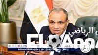 وزير الخارجية يشارك في اجتماع اللجنة الوزارية العربية الإسلامية