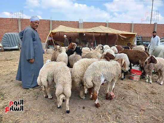 اكبر-سوق-بوجه-بحرى-بالزقازيق_1 اكبر-سوق-بوجه-بحرى-بالزقازيق_1