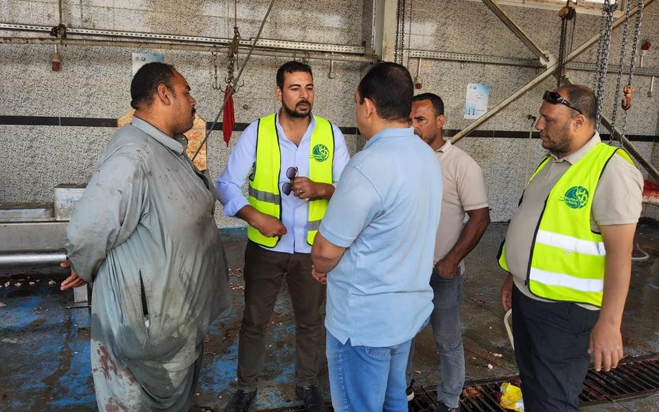 خلال الحملات بالمجازر خلال الحملات بالمجازر