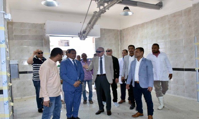 محافظ الأقصر يتفقد مشروعات التطوير والخدمات بمدينة البياضية