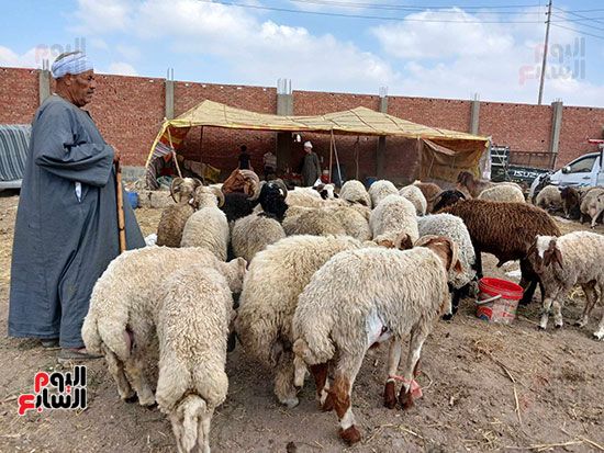 الخراف-البلدية الخراف-البلدية