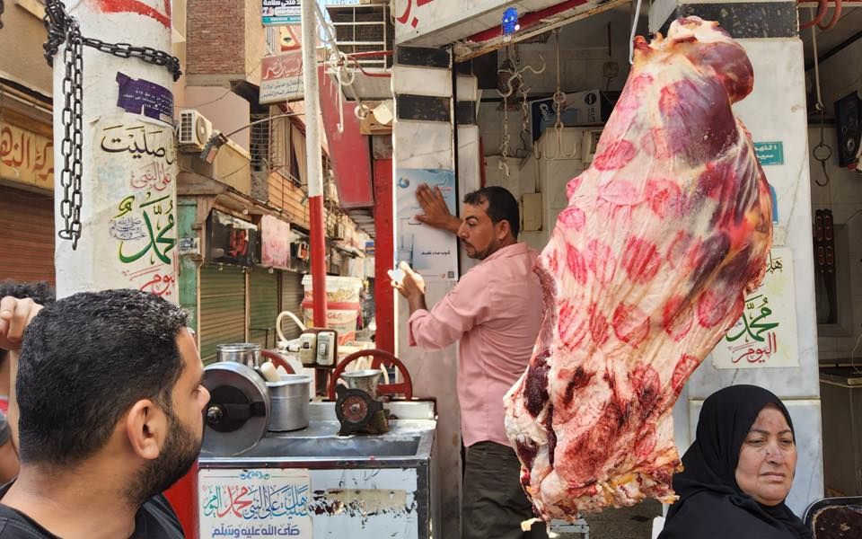 تعليق البوسترات تعليق البوسترات