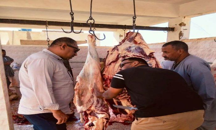 إعدام 82 كيلو لحوم ومواد غذائية غير صالحة وتحرير محاضر في حملات تموينية بأسوان