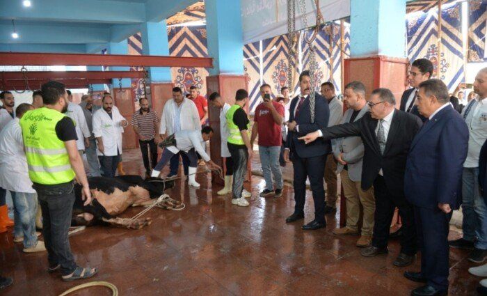 محافظ الدقهلية يشهد ذبح الأضاحي بمجزر طنامل ويؤكد على سلامة اللحوم ووصولها للمستحقين