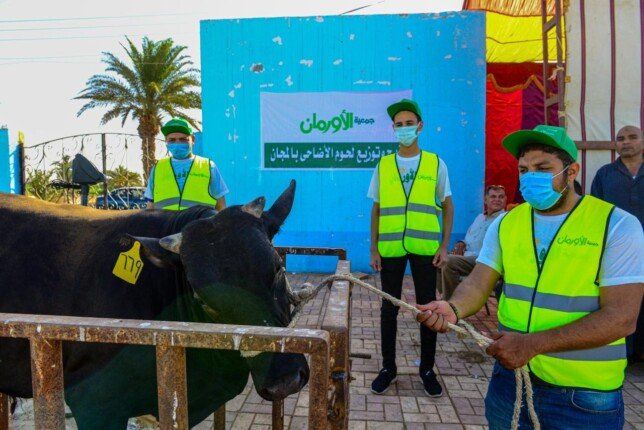 الأورمان تذبح الأضاحي بأسوان وتُخصص 50 ألف كيلو لحوم للأسر الأكثر احتياجًا