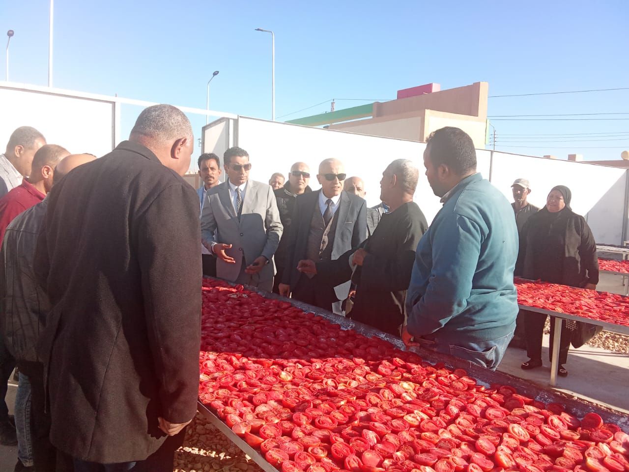 مناشر تجفيف الحاصلات الزراعية حول الأقصر