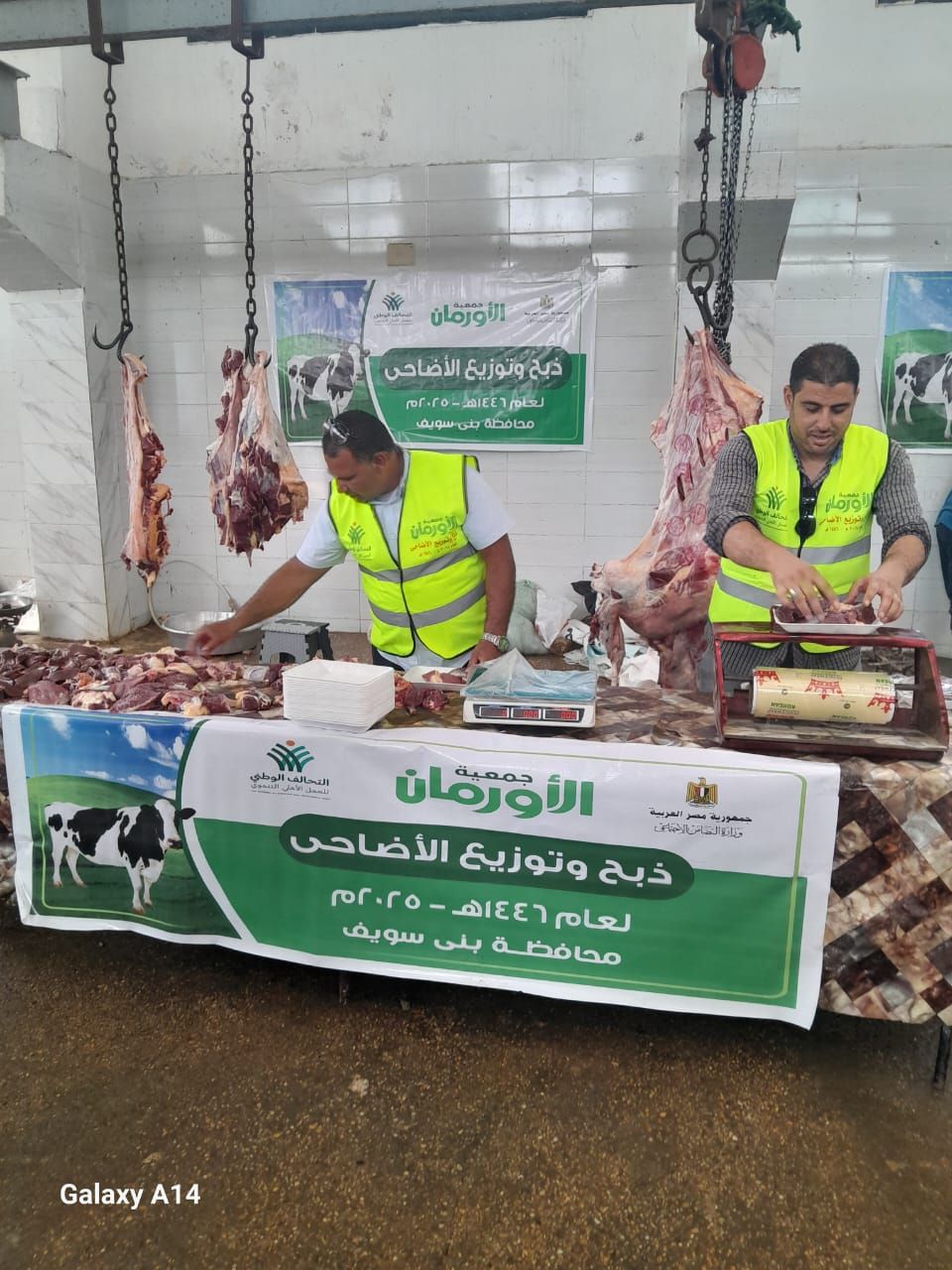 التحالف الوطني يواصل ذبح وتوزيع الأضاحي بجميع المحافظات (5) التحالف الوطني يواصل ذبح وتوزيع الأضاحي بجميع المحافظات (5)