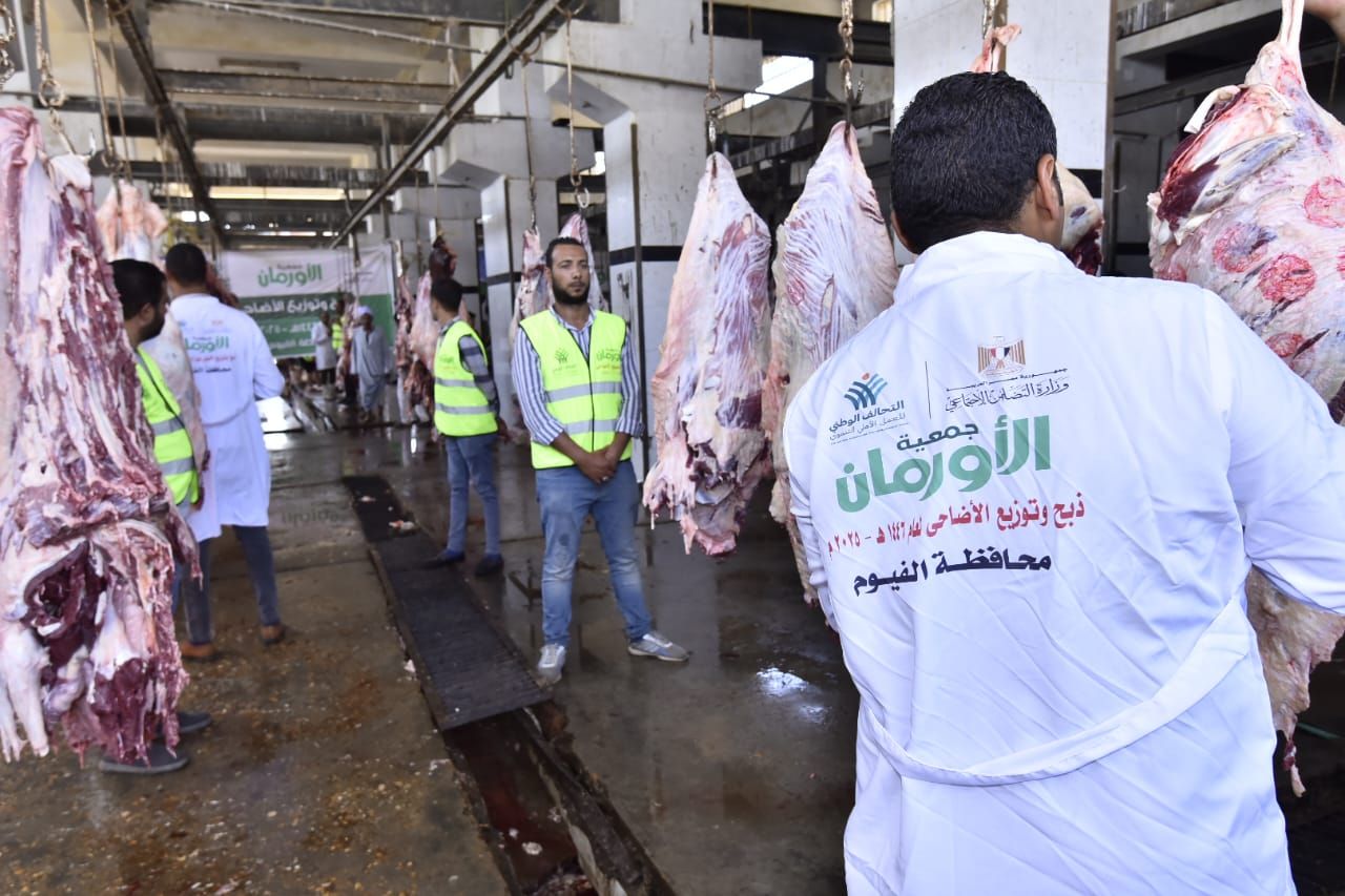 التحالف الوطني يواصل ذبح وتوزيع الأضاحي بجميع المحافظات (9) التحالف الوطني يواصل ذبح وتوزيع الأضاحي بجميع المحافظات (9)