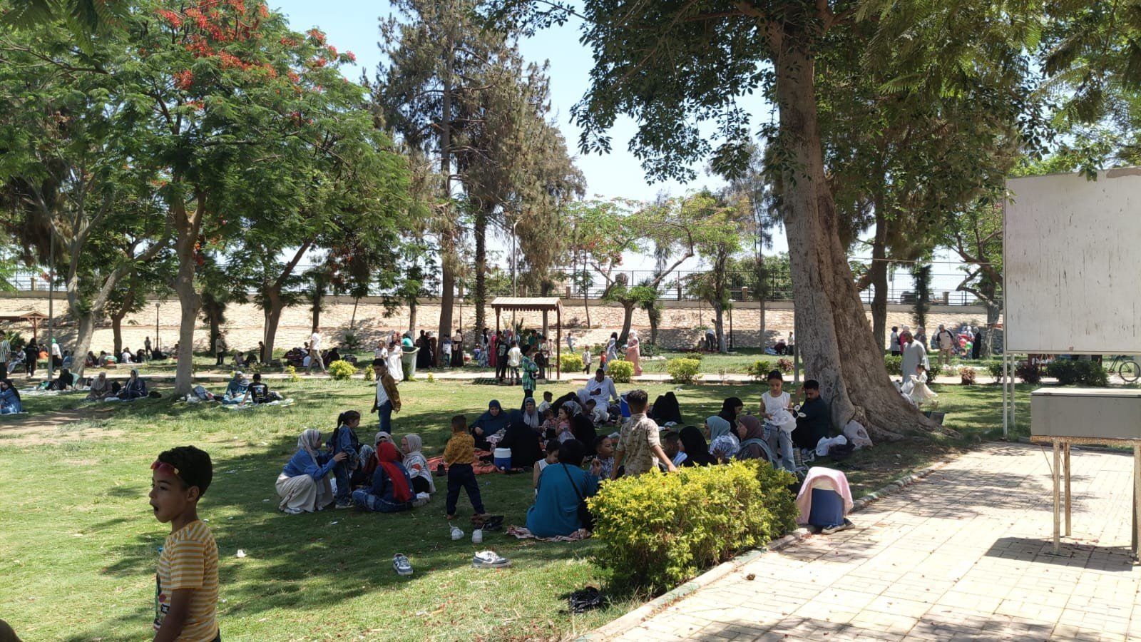 احتفال المواطنين بالحدائق احتفال المواطنين بالحدائق