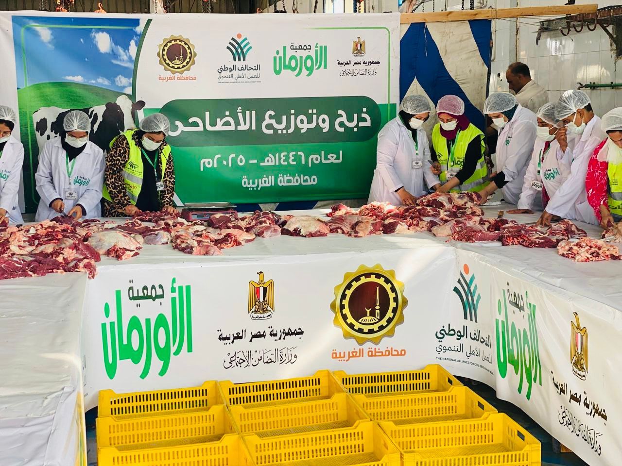 التحالف الوطني يواصل ذبح وتوزيع الأضاحي بجميع المحافظات (7) التحالف الوطني يواصل ذبح وتوزيع الأضاحي بجميع المحافظات (7)