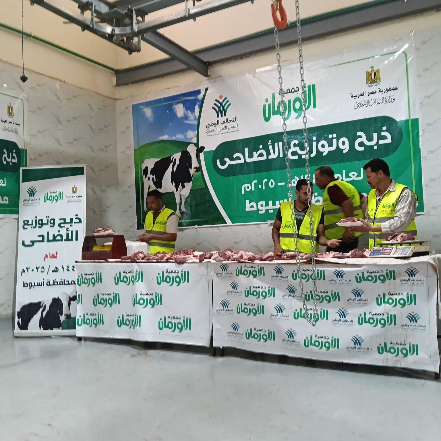 التحالف الوطني يواصل ذبح وتوزيع الأضاحي بجميع المحافظات (12) التحالف الوطني يواصل ذبح وتوزيع الأضاحي بجميع المحافظات (12)
