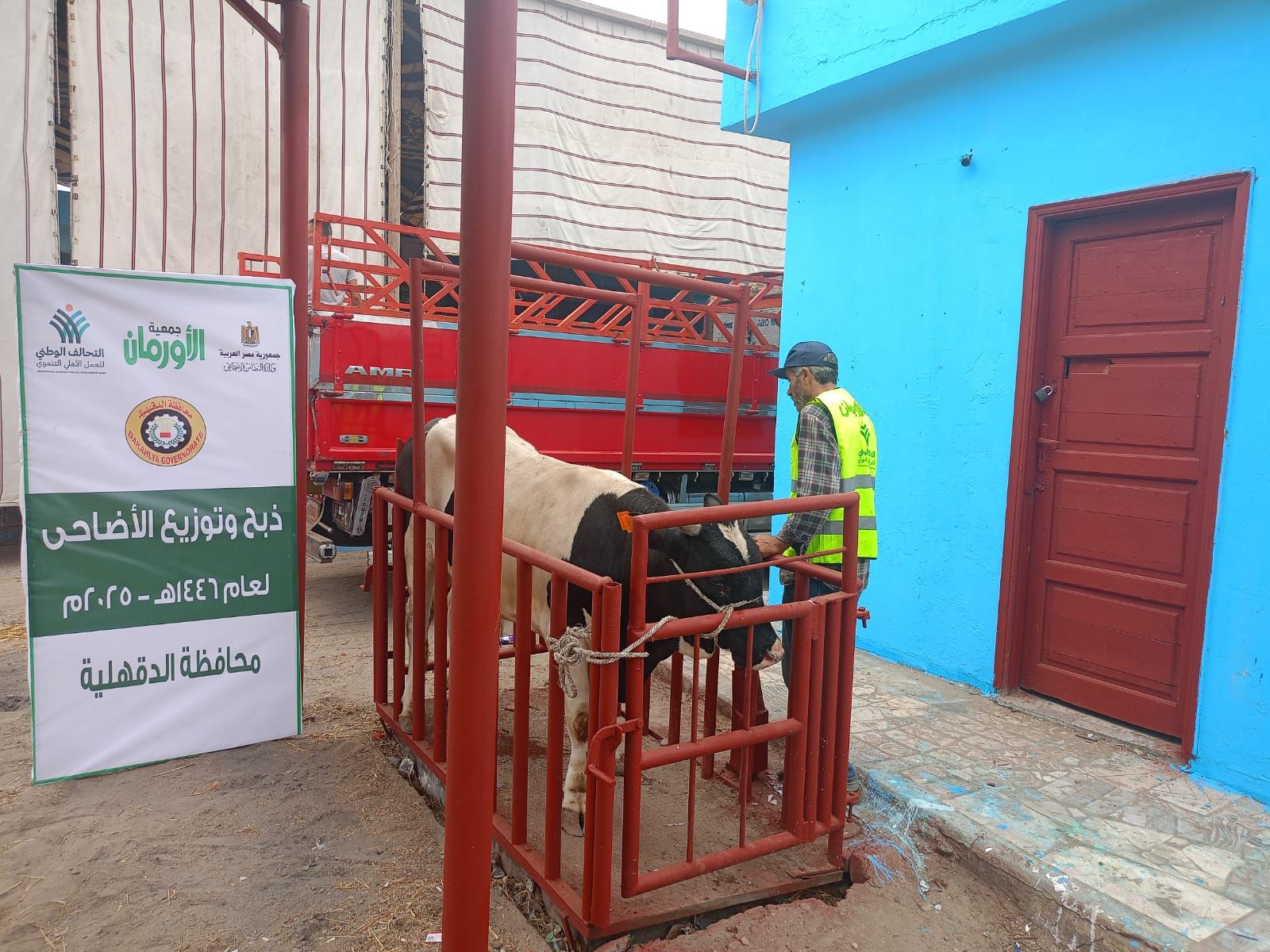 التحالف الوطني يواصل ذبح وتوزيع الأضاحي بجميع المحافظات (8) التحالف الوطني يواصل ذبح وتوزيع الأضاحي بجميع المحافظات (8)