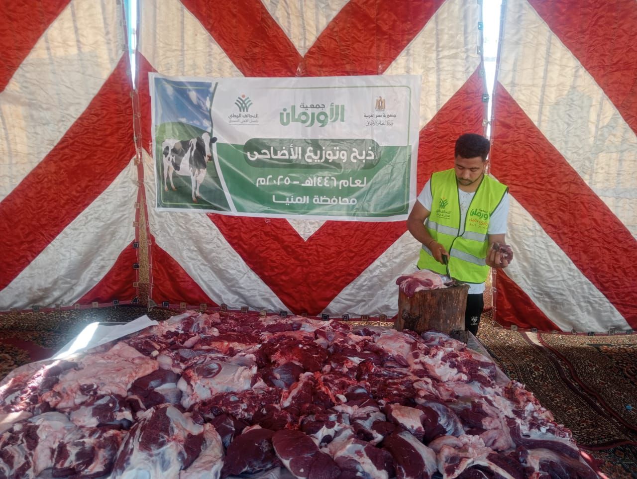 التحالف الوطني يواصل ذبح وتوزيع الأضاحي بجميع المحافظات (3) التحالف الوطني يواصل ذبح وتوزيع الأضاحي بجميع المحافظات (3)