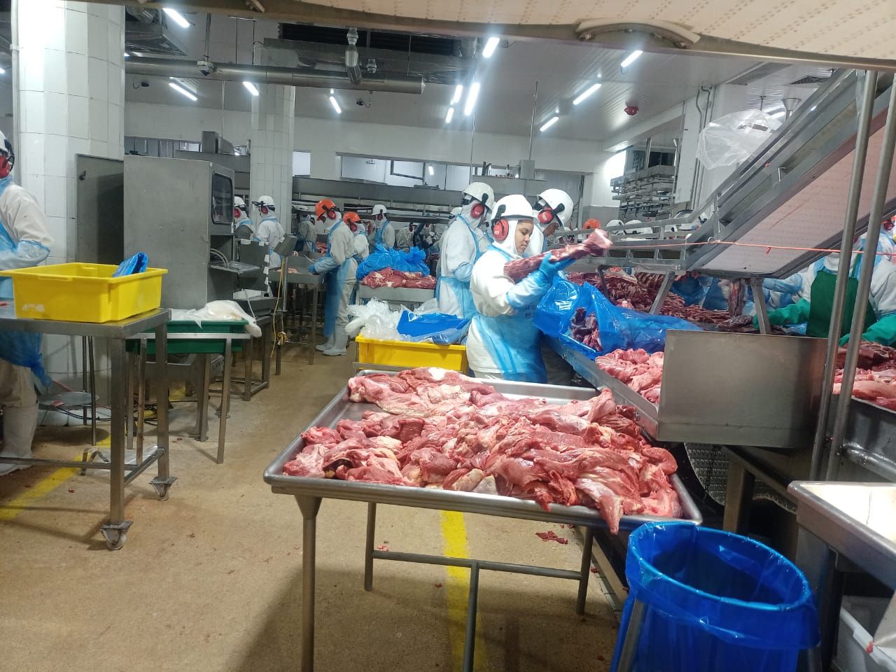جمعية الأورمان عضو التحالف الوطني تذبح الأضاحي في البرازيل (2) جمعية الأورمان عضو التحالف الوطني تذبح الأضاحي في البرازيل (2)