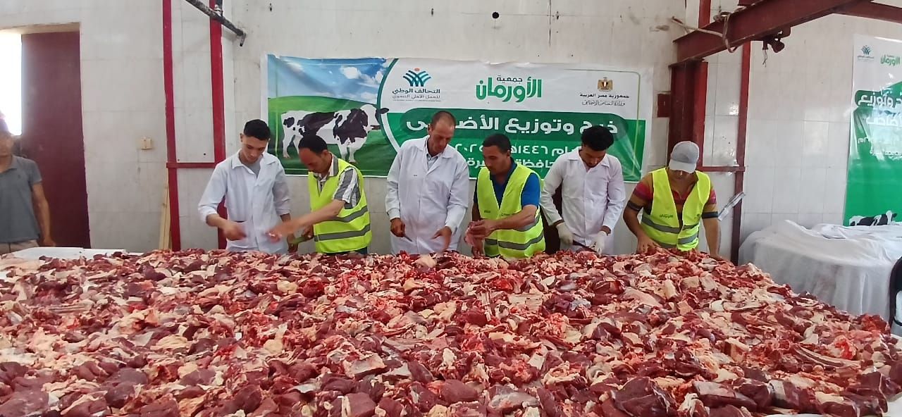 التحالف الوطني يواصل ذبح وتوزيع الأضاحي بجميع المحافظات (4) التحالف الوطني يواصل ذبح وتوزيع الأضاحي بجميع المحافظات (4)