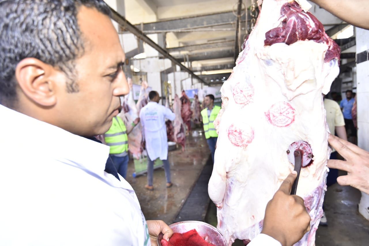 التحالف الوطني يواصل ذبح وتوزيع الأضاحي بجميع المحافظات (11) التحالف الوطني يواصل ذبح وتوزيع الأضاحي بجميع المحافظات (11)