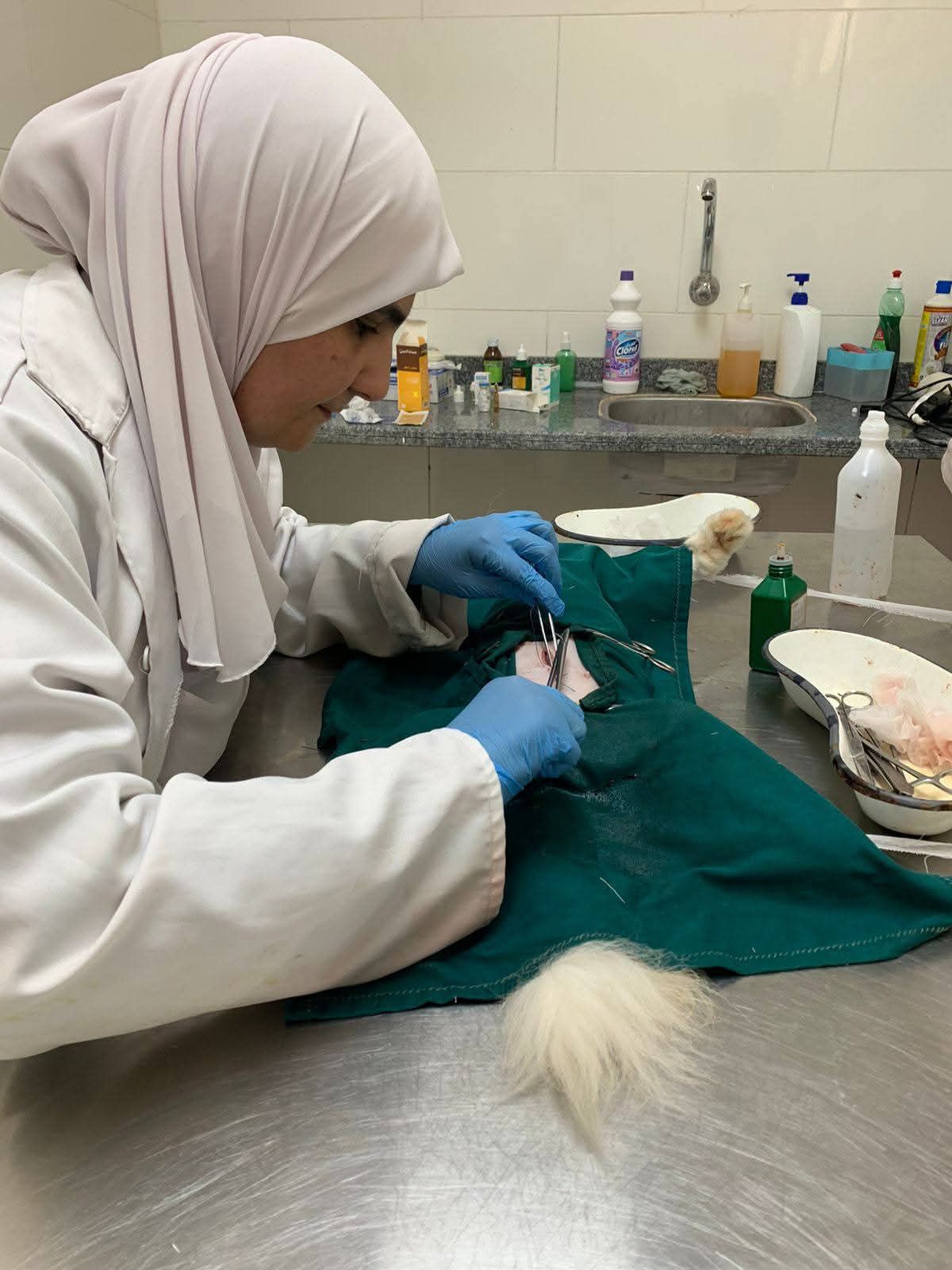 أثناء إجراء عملية الولادة أثناء إجراء عملية الولادة