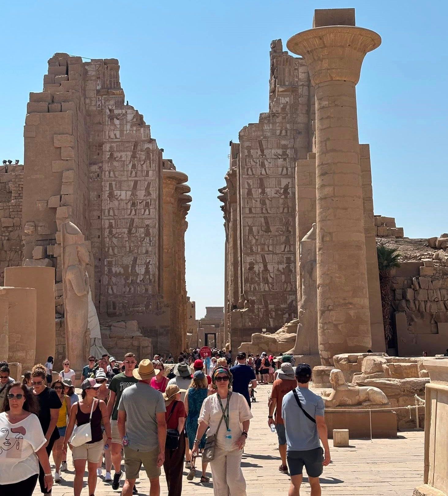 التوافد السياحى المميز فى الصباح بالكرنك التوافد السياحى المميز فى الصباح بالكرنك