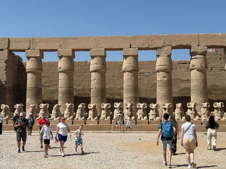 استمتاع الأفواج الأجنبية بين كباش الكرنك استمتاع الأفواج الأجنبية بين كباش الكرنك