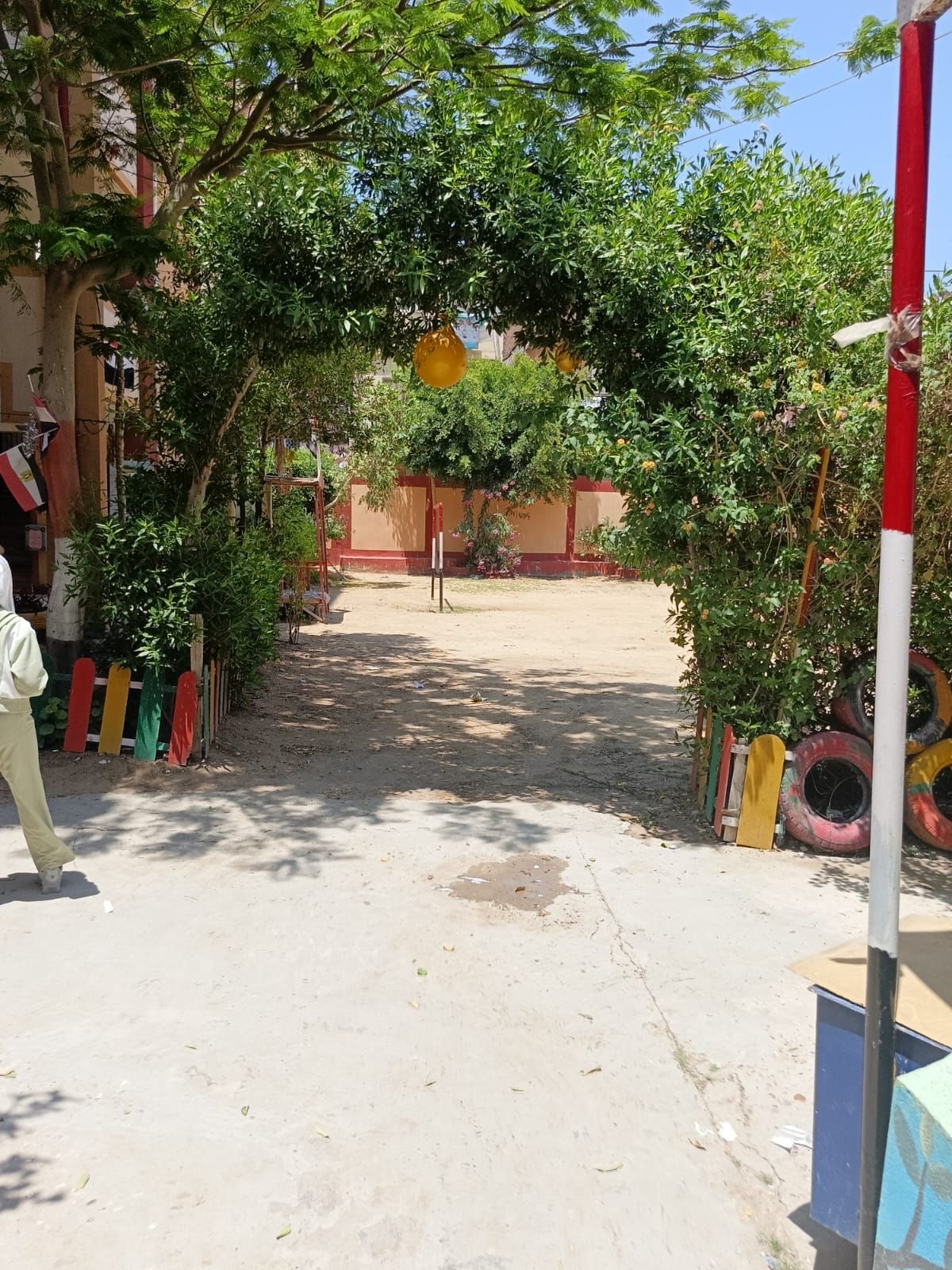 زراعة الاشجار بالمدارس زراعة الاشجار بالمدارس