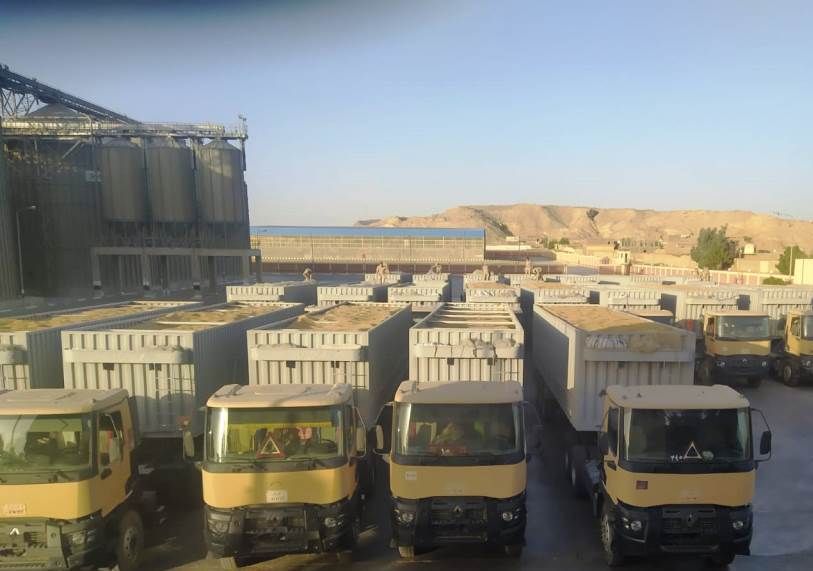 استقبال الأقماح المحلية باسوان استقبال الأقماح المحلية باسوان