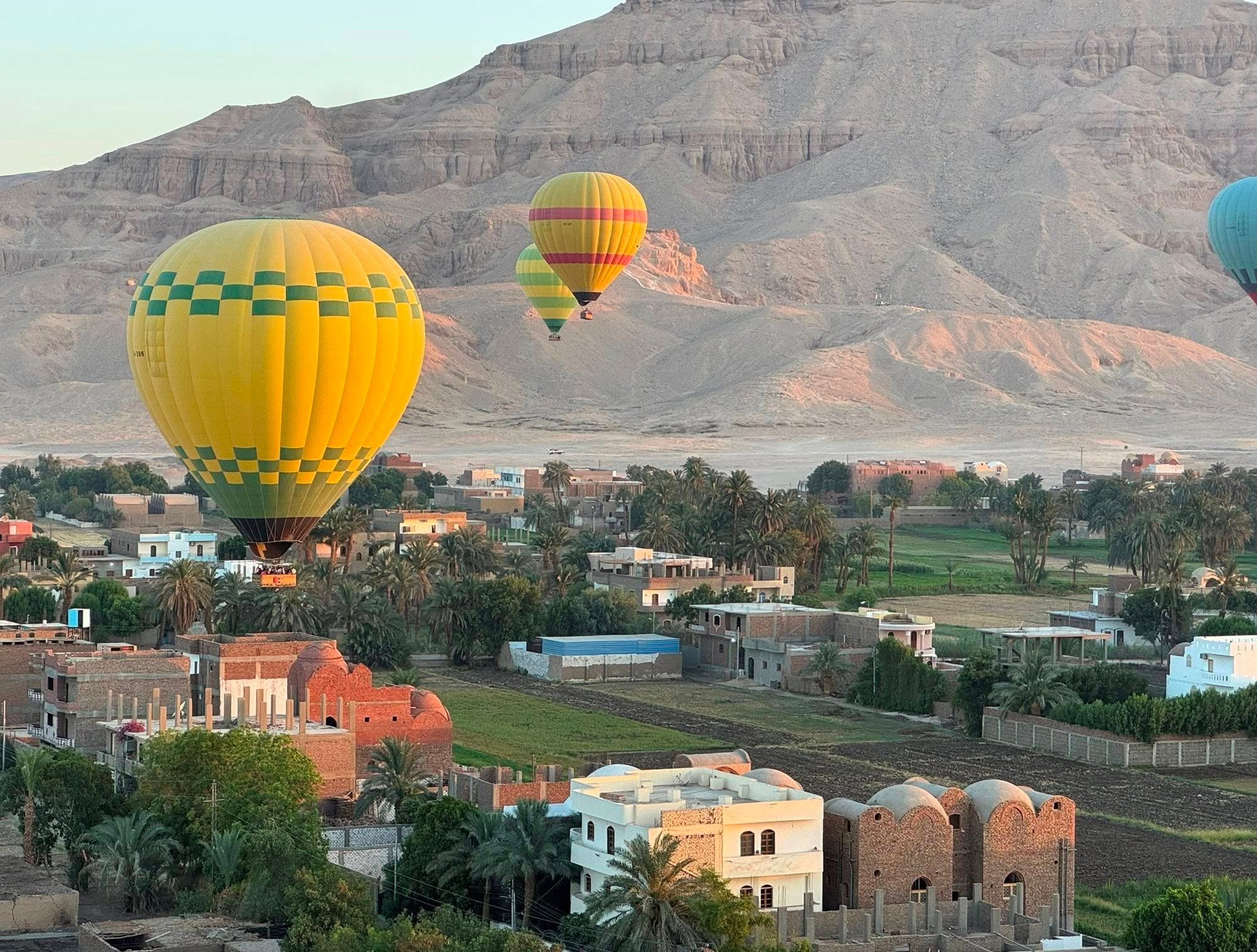 البالونات الطائرة فوق المنازل والطبيعة الخضراء البالونات الطائرة فوق المنازل والطبيعة الخضراء